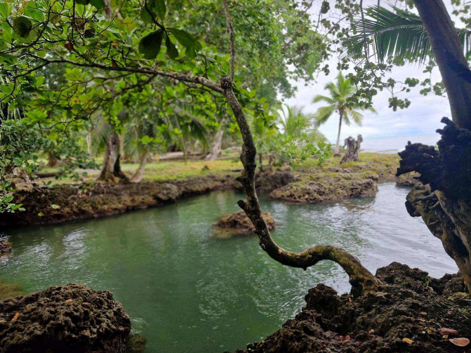 Serenity Houses Cahuita Exterior foto